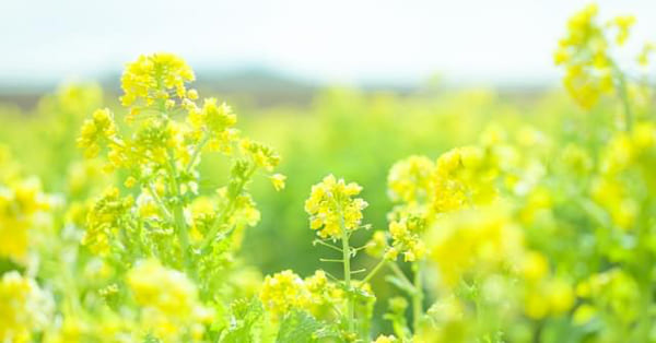 あなたの悩みや苦しみを理解する人は、きっといます