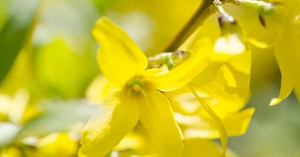 まとめとして、最後の「あるある」――不登校になっても、社会復帰できる