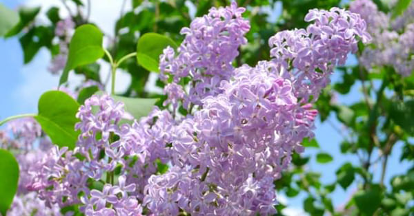 あなたがいてくれるだけで充分です