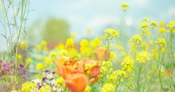 ひとりだけ、ご家庭だけで抱えこまないでください