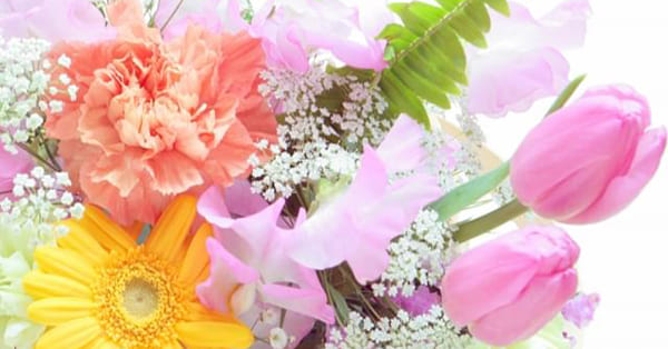 本人もご家族も次の一歩へ進めるよう、願っています