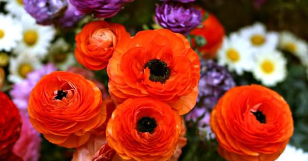 大学生で不登校になっても「道」はたくさんあります。どうか人を頼ってください