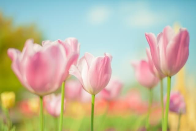 まとめ〜中3不登校でも大丈夫です。安心して高校受験にチャレンジしましょう〜