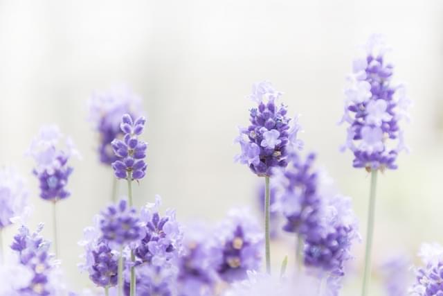 まとめ――誰にでも、「前に進む力」があります