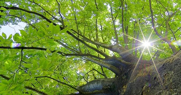 ゆっくり大きく、幸せになってほしい