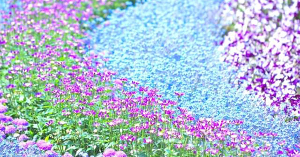 学校に来られなくても、選択肢はいろいろある