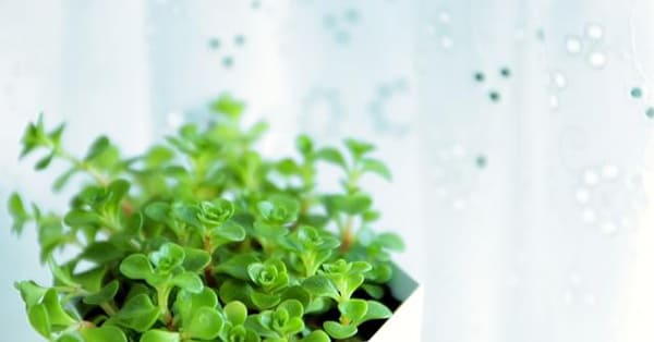 一人で悩まないでください