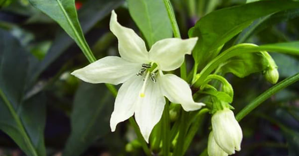 ひとりで悩まず親も「生きる力」を持ってほしい