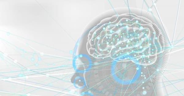 勉強の仕方がわからない