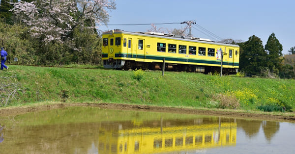 親として、お子さんに接する際に気をつけていたことはありますか？
