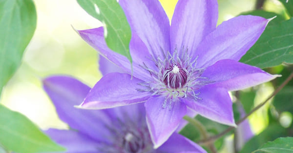 親は親で生活を楽しみつつ、適切に専門家を頼りましょう