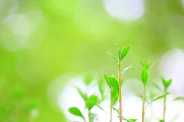 勉強したくないあなたへ〜元劣等生が伝える、やる気のでるコツ〜