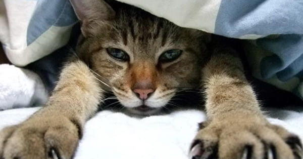 学校が「めんどくさい」のは、あなただけではありません