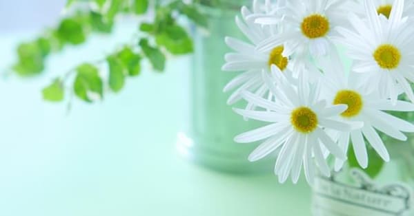 「めんどくさい気持ち」も不安や悩みも、一人で抱え込まないで