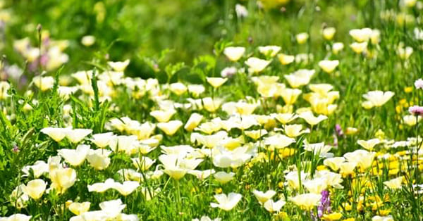 まとめ――お子さんのことを考え、相談機関も頼りましょう