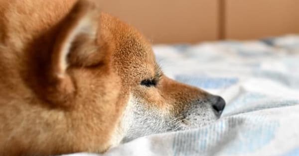 やりたいことはないけど、やめたいときは？