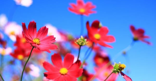 まとめ――勢いだけで決めず、しっかり検討・相談しましょう