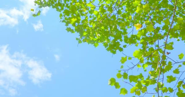 「学校に戻って来て」と言わないでほしい