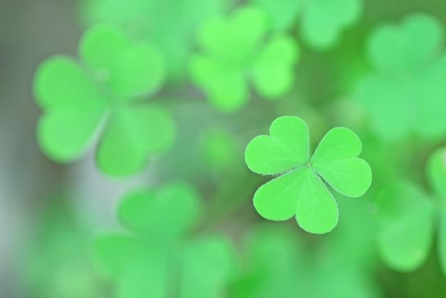 あなたの辛い気持ちを理解する人は、必ずいます