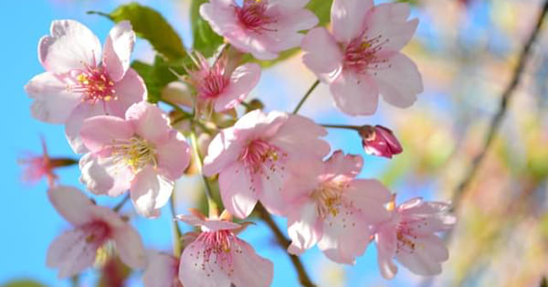 最後に――生きていれば、希望が必ずあります