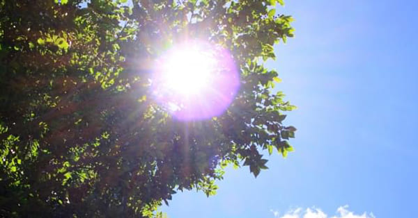 今のお子さんの状況を確認しましょう