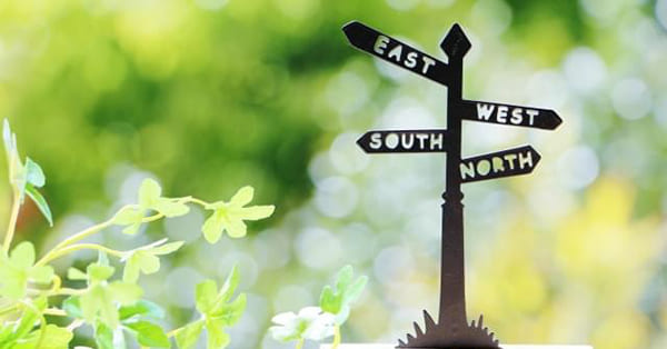 進路を考えるのが辛い