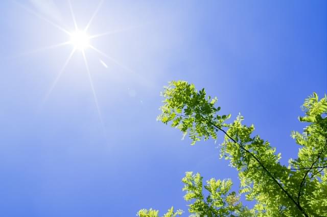 まとめ〜辛い気持ちが前向きになるよう願っています〜