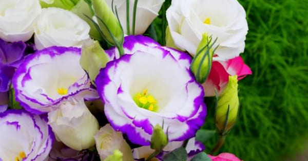 まとめ〜充実した通信制高校生活を送れるよう、全力でご協力します