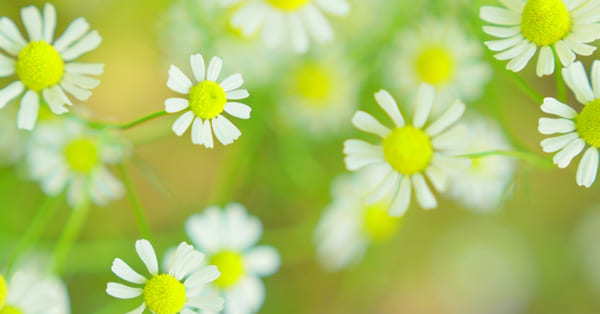 まとめ〜学校だけが居場所ではありません〜