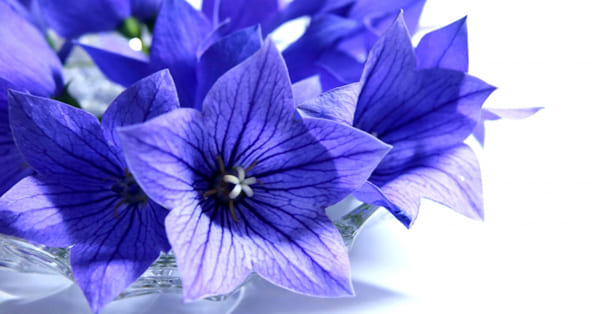 まとめ〜学校以外のコミュニティーを探しましょう〜