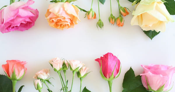 まとめ〜お子さんの幸せな未来を祈っています〜