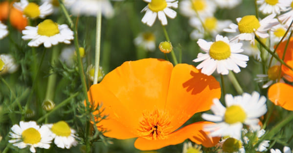 まとめ〜しっかり相談してから決断しましょう〜