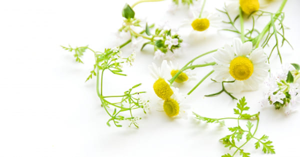 子どものこと、ひとりで抱え込まないで