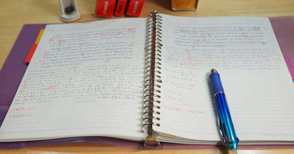 努力の成果として、合格を勝ち取った