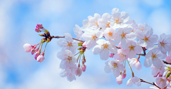 まとめ～あなたの浪人が成功するよう祈っています〜