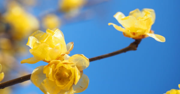 子どものこと、ひとりで抱え込まないで