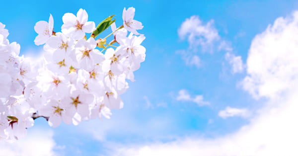 卒業式を欠席したら後悔しない？