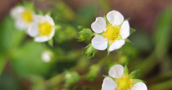 まとめ――勉強のやる気が出るよう祈っています