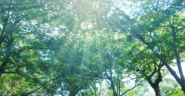 まとめ〜お子さんもあなたも、次の一歩に進めるよう祈っています〜