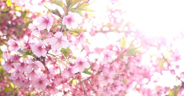 強い劣等感を持つ人の3つの特徴と、劣等感を克服する7つの方法