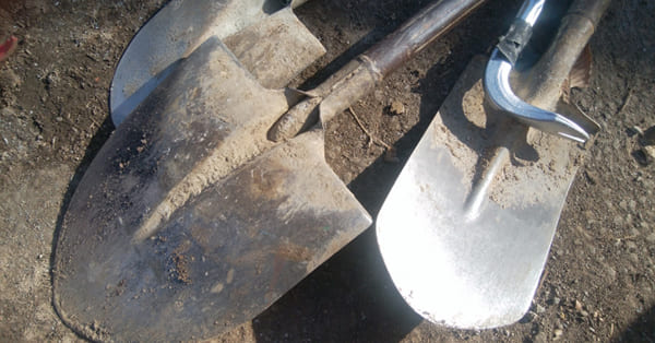 将来の夢を見つけるための7つの方法