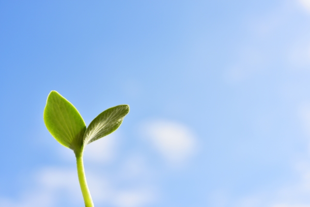 まとめ〜将来の夢、探すのならばあせらずに〜