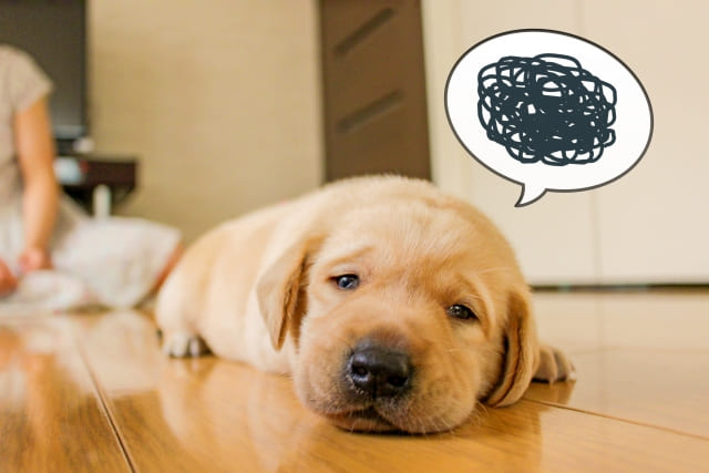 ⑥自分に自信がない