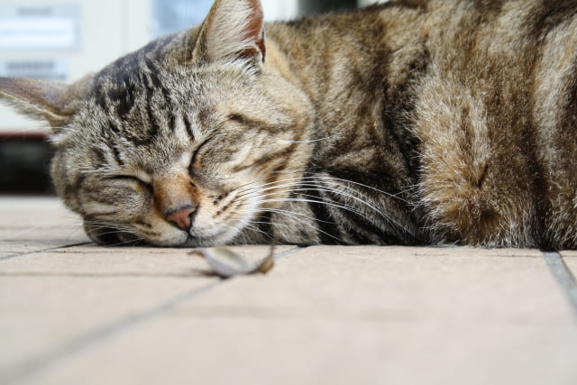 一人で安心できる場所・時間も大事にする