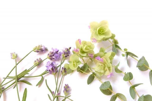 まとめ〜「人が怖い」気持ち、あせらず一歩ずつ解消しましょう〜