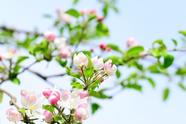 まとめ〜あなたは一人ではありません〜