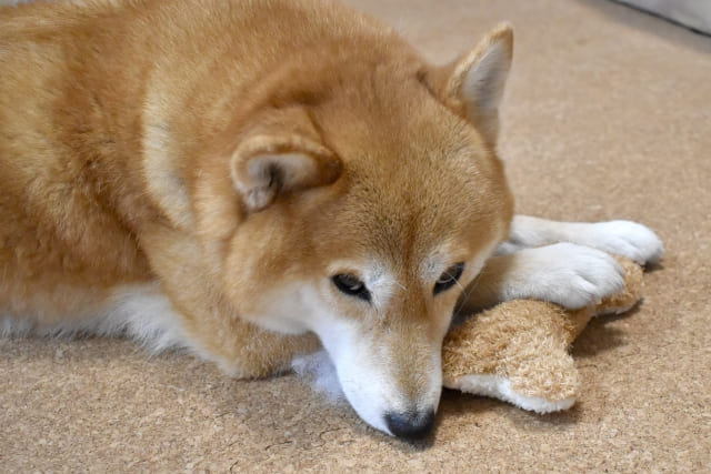 自分の考えに固執してしまう