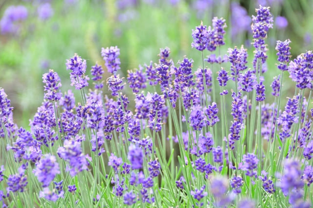 マイナス思考は無理して改善する必要はない