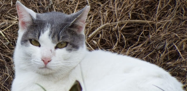 他人を信用できない