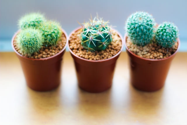 HSCの基本的な概念